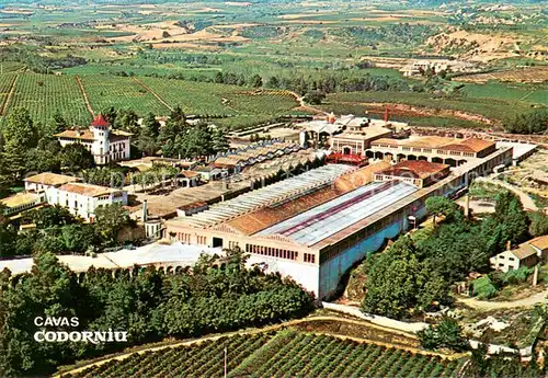 AK / Ansichtskarte Codorniu Cavas vista aerea Codorniu