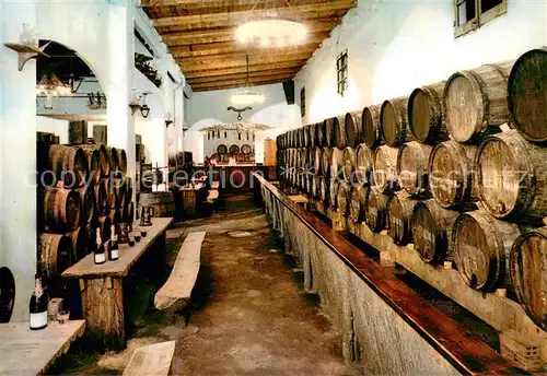 AK / Ansichtskarte Llagostera Bodegas Ramiro Llagostera