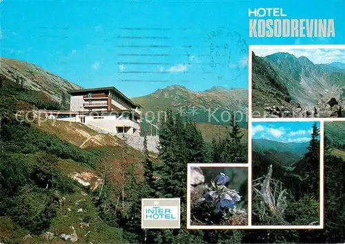 AK / Ansichtskarte Tale_Brezno Hotel Kosodrevina Flora Gebirgspanorama Niedere Tatra 