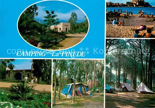 AK / Ansichtskarte Calvi Camping La Pinede Details Calvi