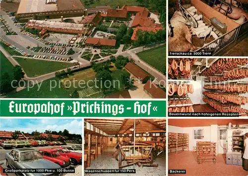 AK / Ansichtskarte Sythen Europahof Prickings Hof Tierschau Bauernwurst Wagenschuppen Baeckerei Sythen