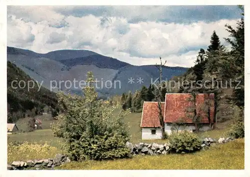 AK / Ansichtskarte Mittlach Vallee de Munster Beim Langenwasen Mittlach