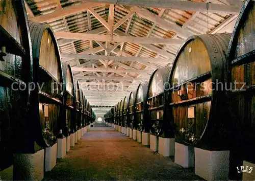 AK / Ansichtskarte Aigues Mortes_Gard Domaine de Listel Chais de vieillissement datant de 1883 Aigues Mortes Gard