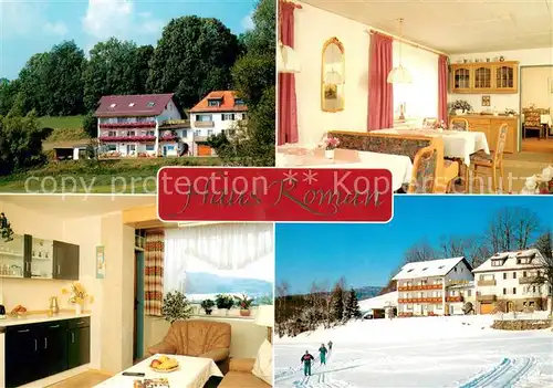 AK / Ansichtskarte Bodenmais Pension Ferienwohnungen Haus Roman Bodenmais
