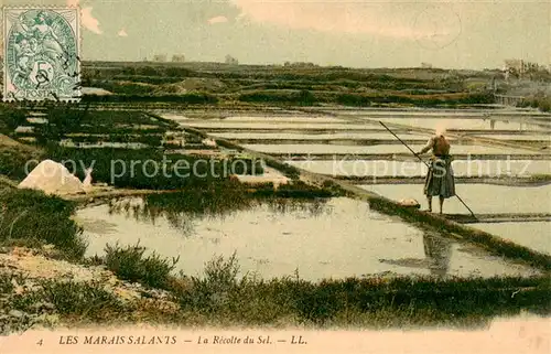 AK / Ansichtskarte Ernte_Landwirtschaft Marais Salants Recolte du Sel  