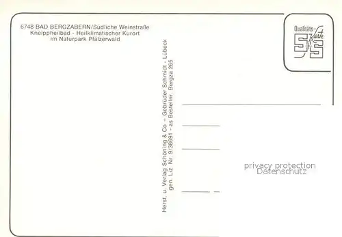 AK / Ansichtskarte Bad_Bergzabern Kneippheilbad Kurort Naturpark Pfaelzerwald Fliegeraufnahme Bad_Bergzabern