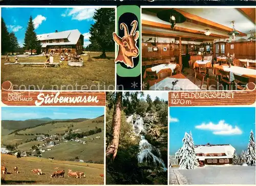 AK / Ansichtskarte Stuebenwasen_Todtnauberg Berggasthaus Stuebenwasen Gaststube Panorama Wasserfall Stuebenwasen Todtnauberg