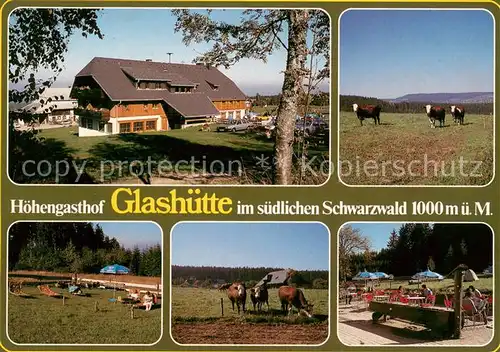 AK / Ansichtskarte Glashuette_Bonndorf Hoehengasthof suedlicher Schwarzwald Viehweide Kuehe Glashuette_Bonndorf