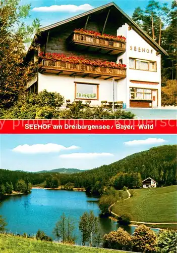 AK / Ansichtskarte Rothau_Dreiburgensee Pension Restaurant Seehof Landschaftspanorama 