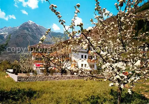 AK / Ansichtskarte Meran_Merano Pension Brunner Meran Merano