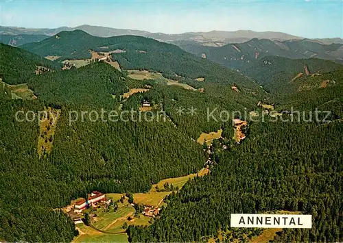 AK / Ansichtskarte Ramsau_Dachstein_Steiermark Urlaubsheim Annental Fliegeraufnahme Ramsau_Dachstein