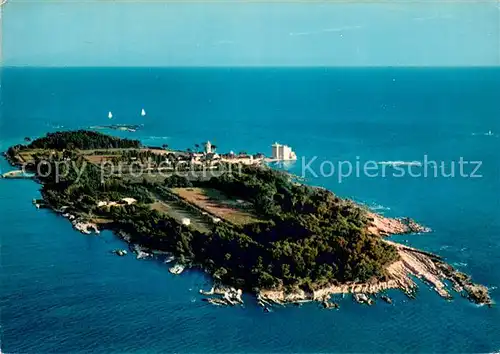 AK / Ansichtskarte Ile_Saint Honorat_Alpes_Maritimes Vue aerienne de lile et son monastere Ile_Saint Honorat