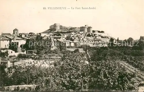 AK / Ansichtskarte Villeneuve_Avignon Fort Saint Andre Villeneuve_Avignon