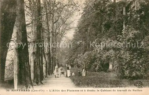AK / Ansichtskarte Montbard Allee des Platanes Cabinet de travali de Button Montbard
