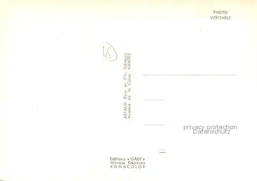 AK / Ansichtskarte Jargeau_Loiret Panorama Blick ueber die Loire Jargeau Loiret