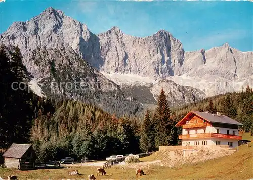 AK / Ansichtskarte Ramsau_Dachstein_Steiermark Alpengasthof und Pension Dachsteinruhe mit Dachsteinsuedwaende Ramsau_Dachstein