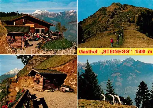AK / Ansichtskarte Dorf_Tirol Naturpark Texelgruppe Gasthof Steinegg Muthoefe Mautspitze Meraner Hoehenweg Motiv mit Ifinger Dorf_Tirol