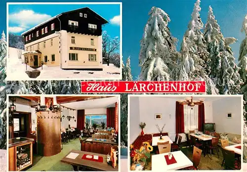 AK / Ansichtskarte Bayerisch_Eisenstein Haus Laerchenhof Restaurant Cafe Pension Winterimpressionen Bayerisch_Eisenstein