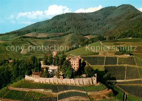 AK / Ansichtskarte Ortenberg_Baden Schloss Ortenberg Fliegeraufnahme Ortenberg_Baden