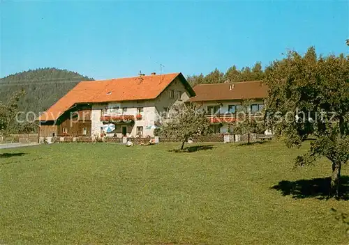 AK / Ansichtskarte Bischofsmais Pension Berghof Bischofsmais