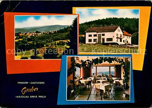 AK / Ansichtskarte Herzogau_Waldmuenchen Panorama Pension Gaststaette Gruber Gaststube Herzogau Waldmuenchen