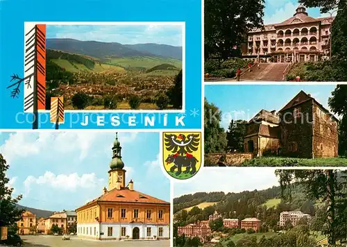 AK / Ansichtskarte Jesenik Landschaftspanorama Teilansichten Rathaus Jesenik