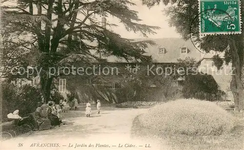 AK / Ansichtskarte Avranches Le Jardin des Plantes Le Cedre Avranches