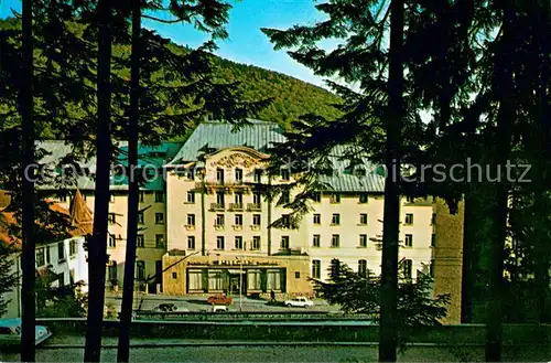 AK / Ansichtskarte Sinaia Hotel Palas Sinaia