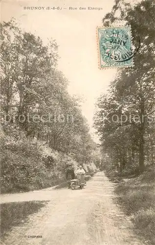 AK / Ansichtskarte Brunoy Rue des Etangs Brunoy