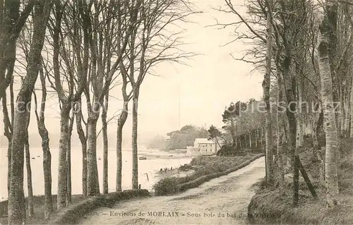 AK / Ansichtskarte Morlaix Sous bois du bas de la Riviere Morlaix