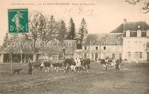 AK / Ansichtskarte La_Haye Malherbe Ferme des Hoguettes des vaches La_Haye Malherbe