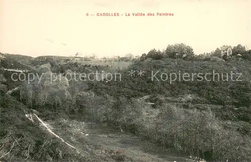 AK / Ansichtskarte Carolles Vallee des Peintres Paysage Carolles