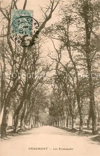 AK / Ansichtskarte Chaumont_Haute Marne Les Promenades Chaumont Haute Marne