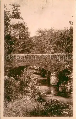 AK / Ansichtskarte Le_Chambon sur Lignon Coin de peche a pontainier Le_Chambon sur Lignon