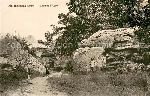 AK / Ansichtskarte Malesherbes Chemin d Auxy Malesherbes