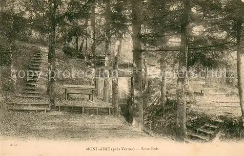 AK / Ansichtskarte Vertus Mont Aime sous bois Vertus