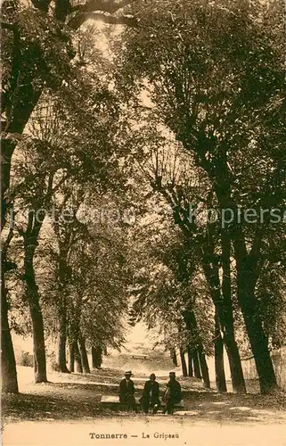 AK / Ansichtskarte Tonnerre Le Gripeau Tonnerre