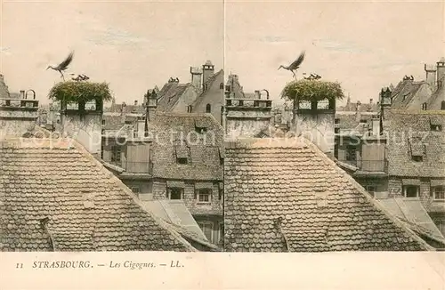 AK / Ansichtskarte Strasbourg_Alsace Les cigognes Storchennest Stereokarte Strasbourg Alsace