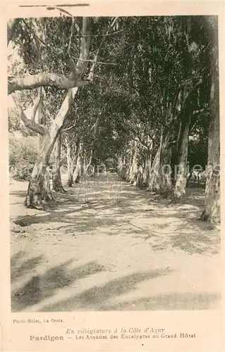 AK / Ansichtskarte Pardigon Avenues des Eucalyptos du Grand Hotel Pardigon