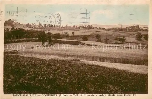 AK / Ansichtskarte Saint Maurice en Gourgois Teil et Prunerie Arbre plante sous Henri IV Saint Maurice en Gourgois