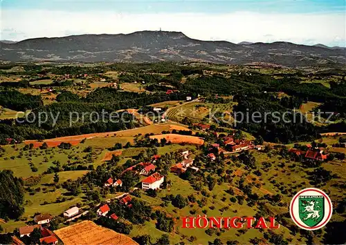AK / Ansichtskarte Hoenigtal Erholungstal Fliegeraufnahme 