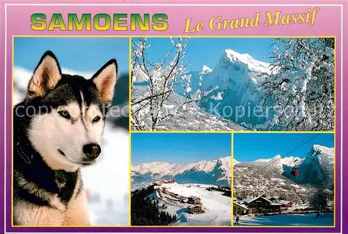 AK / Ansichtskarte Samoens Husky Hund Winterimpressionen Alpen Samoens