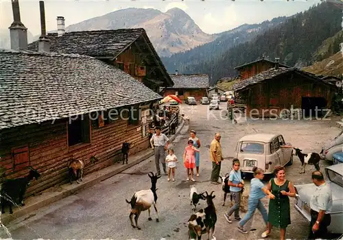 AK / Ansichtskarte Les_Lindarets Les chevres au village Les_Lindarets
