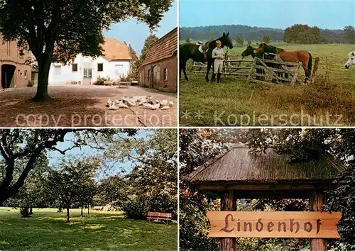 AK / Ansichtskarte Aukrug Urlaub auf dem Lindenhof Pferdekoppel Obstwiese  Aukrug