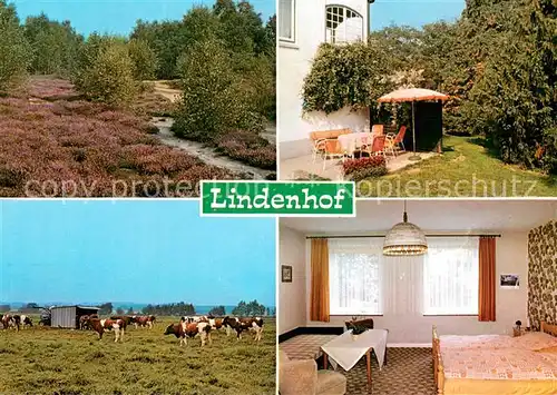 AK / Ansichtskarte Aukrug Lindenhof Garten Zimmer Park Viehweide Aukrug