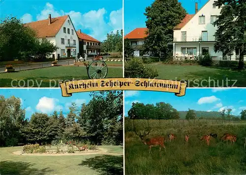 AK / Ansichtskarte Bad_Laer Kurheim Scheiper Schlattmann Park Wildgehege Bad_Laer