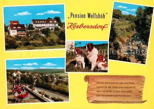 AK / Ansichtskarte Bad_Soden Salmuenster Pension Wolfshoeh Kerbersdorf Terrasse Teich Bernhardiner Bad_Soden Salmuenster