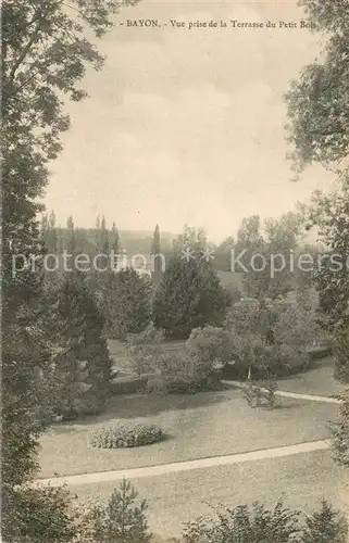AK / Ansichtskarte Bayon Vue prise de la Terrasse du Petit Bois Bayon