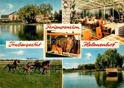 AK / Ansichtskarte Buenzen_Aukrug Trabergestuet Ferienpension Helenenhof Buenzen Aukrug