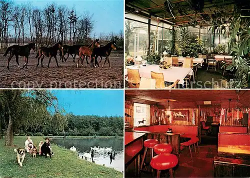 AK / Ansichtskarte Buenzen_Aukrug Trabergestuet Helenenhof Restaurant Gaststube Bar Schwanenteich Buenzen Aukrug